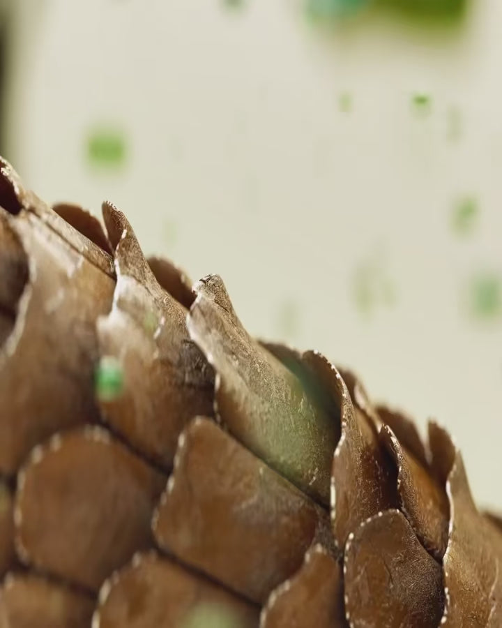 CONCENTRATED HAIR ELIXIR